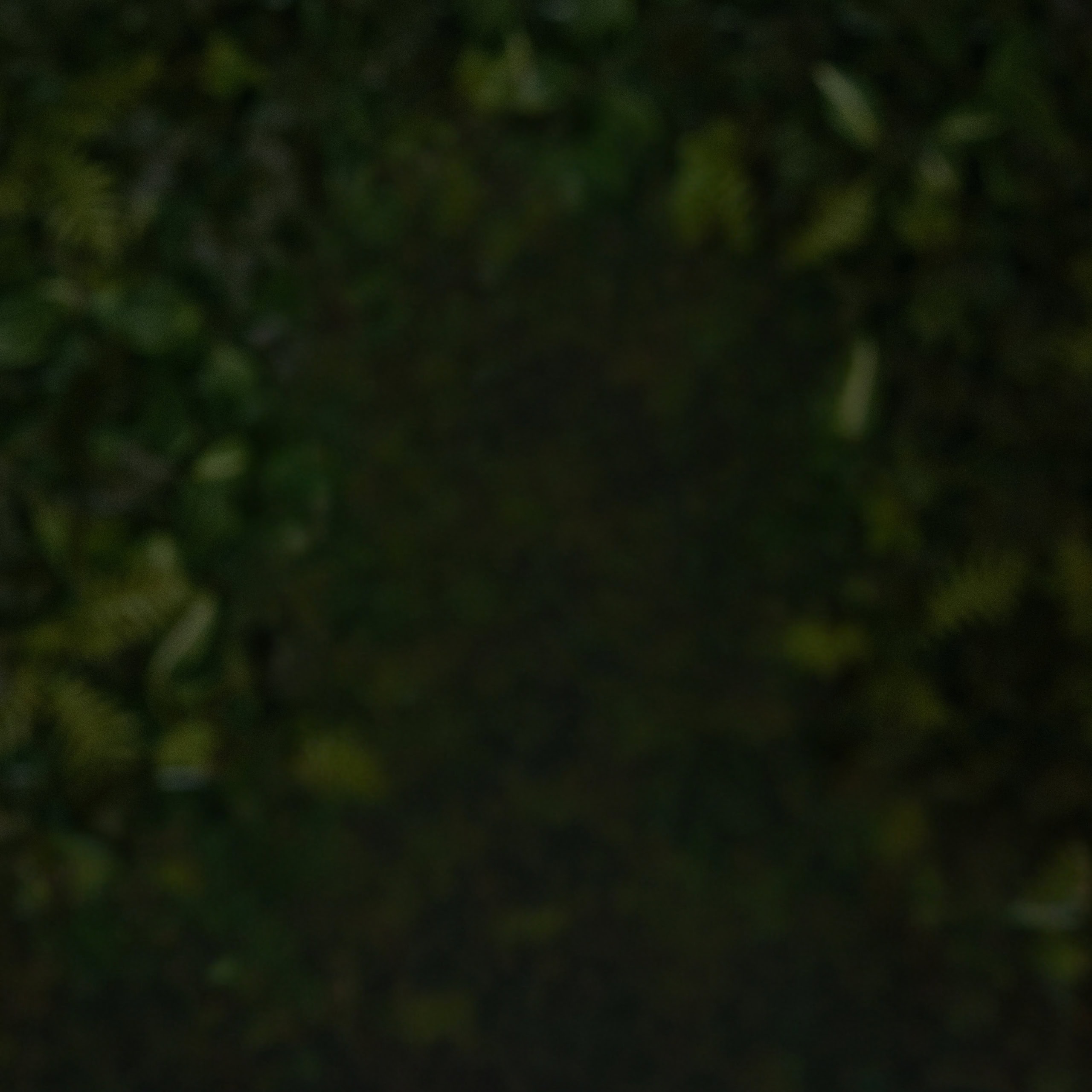 katrine-kongshaug-hjorth-medarbejder-growmedia