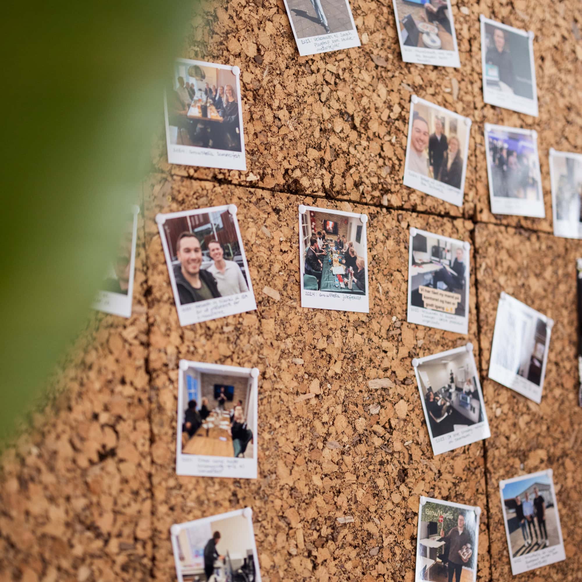 Om os 6 Mindevæg-growmedia